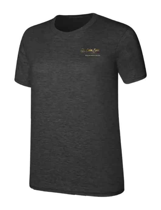 Womens Ring Spun Dark Heather Grey 4.5 oz T-Shirt w/Calm Seas Psychotherapy Logo