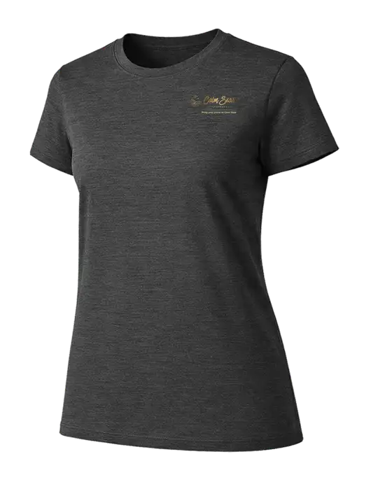 Womens Ring Spun Dark Heather Grey 4.5 oz T-Shirt w/Calm Seas Psychotherapy Logo